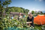 Rahel Eisenhut (links) und Fabienne Tobler in ihrem gemeinsamen Schrebergarten auf der Allmend. (Bild: Roger Grütter (Luzern, 9. Juli 2018))