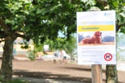 Das Hundeverbot beim Gemeindehausplatz in Hergiswil wird schon bald wieder aufgehoben. (Bild: Matthias Piazza, 7. Juni 2018)