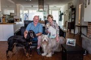 «Wir wanderten aus, weil wir wollten – nicht, weil wir mussten.» Derrick und Karen Kerley mit ihren drei Hunden. (Bild: Michel Canonica)
