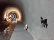 In drei Wochen wird diese erste Graffiti-Kuh Teil des längsten Alpaufzugs über die ganze Länge des Ruckhaldetunnels sein. (Bild: PD)