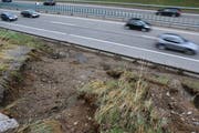 Am Montagmorgen kurz vor 7 Uhr: Das Ausmass des Schadens an der Autobahnböschung bei Wil wird sichtbar, und erinnert an das noch verheerendere Ereignis vom 14. Juni 2015. (Bild: Hans Suter)