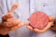 Ein Burger, der aus Zellen gezüchtet wurde. (Bild: PD)