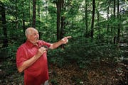 «Die Waldluft ist schon etwas Besonderes.» Walter Büchel geniesst seine Spaziergänge im Rüthner Wald. (Bild: Bilder: Max Tinner)