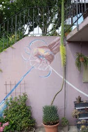 Der Blütenstängel der Königsagave ragt drei Meter fünfzig hoch in den Himmel. (Bild: Claudio Weder)