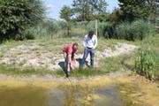 Gemeinderat Hansjörg Hauser und Markus Bürgisser von Pro Natura schauen sich die Tümpel rund um den Ägelsee an. (Bild: Nicole D'Orazio)