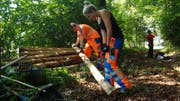 Mit Baumstämmen wird der Wanderweg seitlich befestigt. (Bild: PD)