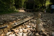Der Bärgmandli-Tritt im Zyberliland lädt Familien zum Entdecken ein. Bild: PD