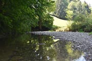 Auch im Appenzellerland führen die Gewässer – im Bild der Wissbach – momentan wenig Wasser. Bild: PAG