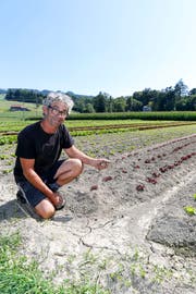 Der Unteregger Guido Buob auf seinem staubtrockenen Salatfeld. Bewässern wird er es dennoch nicht, da bald Regen angesagt ist. (Bild: Rudolf Hirtl)