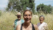 George, Makoto und Mitsue Bruderer in ihrem Olivenhain in Salve. (Bild: Hanspeter Spörri)