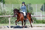 Indira Scherrer mit Sleipnir vom Neckertal. (Bild: Ulli Nedderns)