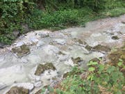 Das ätzende Betonwasser verschlammte das Bachbett sichtbar. (Bild: Kapo)