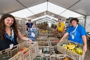 Die Familie Hofstetter in der Food-Verteilzentrale des Kantonslagers der Pfadi Luzern. Von links: Nadia, Simon, Walter und Yvonne. Noch nicht im Lager angekommen ist Tochter Kathrin. (Bild: Eveline Beerkircher (Escholzmatt, 19. Juli 2018))
