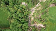 Die geplante Hängebrücke über den Mattenbach soll eine Alternative zu dem Wanderweg Heiden-Fünfländerblick bieten, dessen Begehbarkeit oft unter Überschwemmungen leidet. (Bild: Michel Canonica)