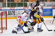 In rund einem Monat treffen der EV Zug (weiss) und der HC Lugano im Rahmen des Vorbereitungsturniers im Wiler Bergholz aufeinander. (Archivbild: Michela Locatelli/freshfocus)