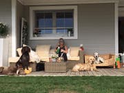 Stephanie Künzli hat sich mit dem Hunderesort einen Traum verwirklicht. (Bild: PD)