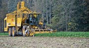 Zuckerrübenernte bei Wellhausen im Thurgau. Der Rübenanbau soll für die Bauern attraktiver werden. (Bild: Reto Martin)