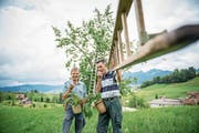 Gartenbauer Andreas Kälin und Landwirt Andreas Beeler beim Kirschenpflücken in Gross. (Bild: Roger Grütter (Einsiedeln, 21. Juli 2018))