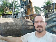 Ramon Wyssen mit seinem Forstschlepper und einem «exzellenten, 13-jährigen Teak-Baum». (Bild: PD)