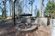 Zu riskant: Die Thurgauer Regierung verbietet Feuer im Wald, der Kanton St.Gallen zieht allenfalls nach. (Bild: Hanspeter Schiess)