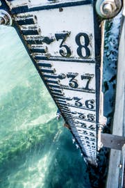 Der Rhein und der Bodensee haben einen sehr tiefen Pegelstand. (Bild: Andrea Stalder)