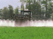 Der Verkauf von Pflanzenschutzmittel ist hierzulande zwischen 2008 und 2016 nicht zurückgegangen. Immer noch werden pro Jahr 2200 Tonnen an Mitteln wie Herbizid und Insektizid versprüht. Seltener zum Einsatz kommt dagegen der umstrittene Unkrautvertilger Glyphosat. (Bild: Keystone/ARNO BALZARINI)