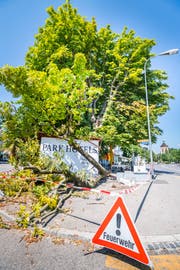 Imposantes Bild an der Bahnhofstrasse: Ein Ast der grossen Kastanie ist abgebrochen. (Bild: Andrea Stalder)