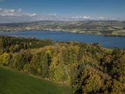 Der Autolenker fuhr von Retschwil (Foto) nach Hitzkirch. (Bild: Pius Amrein)