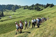 In lockeren Gruppen wanderten die Teilnehmer von Alp zu Alp. (Bild: Beatrice Bollhalder)