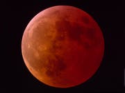 Während der totalen Verfinsterung erhält der Mond seine charakteristische rötliche Farbe. (Bild: Andreas Walker)