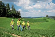 Bewirten auf dem Hergiswiler «Kräuterhof» bald einen Bundesrat (von links): Franz Wermelinger, Martin Theiler, Josef Mahnig und Alois Theiler. (Bild: Philipp Schmidli (23. Juli 2018))