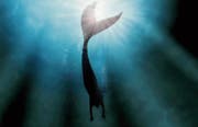 Sich in eine männliche Sirene zu verlieben, ist nicht ungefährlich. (Bild: Yuri Arcurs/Getty)