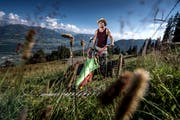 Auch sowas wie Krafttraining: Stefan Ettlin mit dem Motormäher. (Bild: Pius Amrein (Alpnach, 25. Juli 2018))