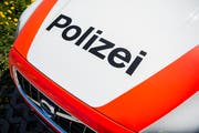 Wegen des Unfalls musste eine Patrouille der Kantonspolizei Thurgau ausrücken. (Bild: Reto Martin)