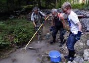 Aufgrund des tiefen Pegelstandes und des Sauerstoffmangels muss der Lissibach notabgefischt werden. Fischereiaufseher Felix Ammann wird dabei tatkräftig unterstützt von Walter Amstalden (Mitte) und dessen Enkel Yannick (rechts). (Bild: Werner Schelbert (26. Juli 2018))