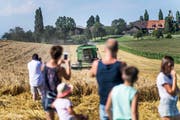 Die Bevölkerung von Mörschwil verfolgt die Braugersten-Ernte bei Schloss Watt. (Bild: Michel Canonica)