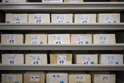 Alphabetisch geordnet werden die Samen tausender einheimischer und exotischer Pflanzen aufbewahrt. (Bild: Benjamin Manser)