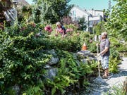 Gaby und Kurt Gerber pflegen ihren Rosengarten mit viel Sorgfalt und Liebe.