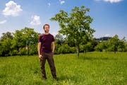 Landwirt Simon Küng bei seiner Nussbaumanlage. (Bild: Philipp Schmidli (Ruswil, 24. Juli 2018))