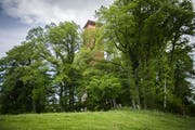 Das Wahrzeichen von Wäldi: Der Turm ist zum Glück nach Napoleon benannt, sonst müsste man entscheiden, ob er Wäldemer oder Wäldinger Turm heissen soll. (Bild: Reto Martin)