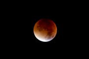 Mondfinsternis in den frühen Morgenstunden des 28. Septembers 2015. (Bild: Pius Amrein)