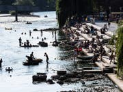 Auch bei grösseren Flüssen wie etwa der Limmat werden derzeit besonders geringe Abflussmengen registriert. (Bild: KEYSTONE)