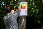 Tafeln weisen auf das Feuerverbot im Wald hin. (Bild: KEY/Alexandra Wey)