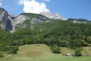 Der Kanadier stürzte in unwegsamem Waldgelände ab und konnte vom Alpinkader der Polizei nur noch tot geborgen werden. (Bild: Kapo)