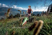 Der Motormäher, ein Fitnessgerät: Schwinger Stefan Ettlin mäht die Wiese auf der Alp Langenmatt oberhalb von Alpnach. (Bild: Pius Amrein (Alpnach, 25. Juli 2018)