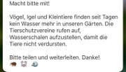 Diese Nachricht kursiert derzeit auf dem Nachrichtendienst WhatsApp. (Bild: PD)
