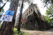 Die überwachsene Ruine von aussen. Bild: Slavko Midzor/Pixsell