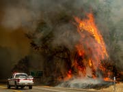 «Wand aus Flammen»: Bei den jüngsten Busch- und Waldbrände in Kalifornien kamen zwei Menschen ums Leben. (Bild: KEYSTONE/FR34727 AP/NOAH BERGER)