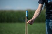 In einigen Schweizer Kantonen hat die Regierung eine Feuerwerksverbot verhängt. Bild: Dominik Wunderli (25. Juli 2018)