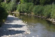 So wenig Wasser führt die Thur in Wattwil selten. (Bild: Ruben Schönenberger)